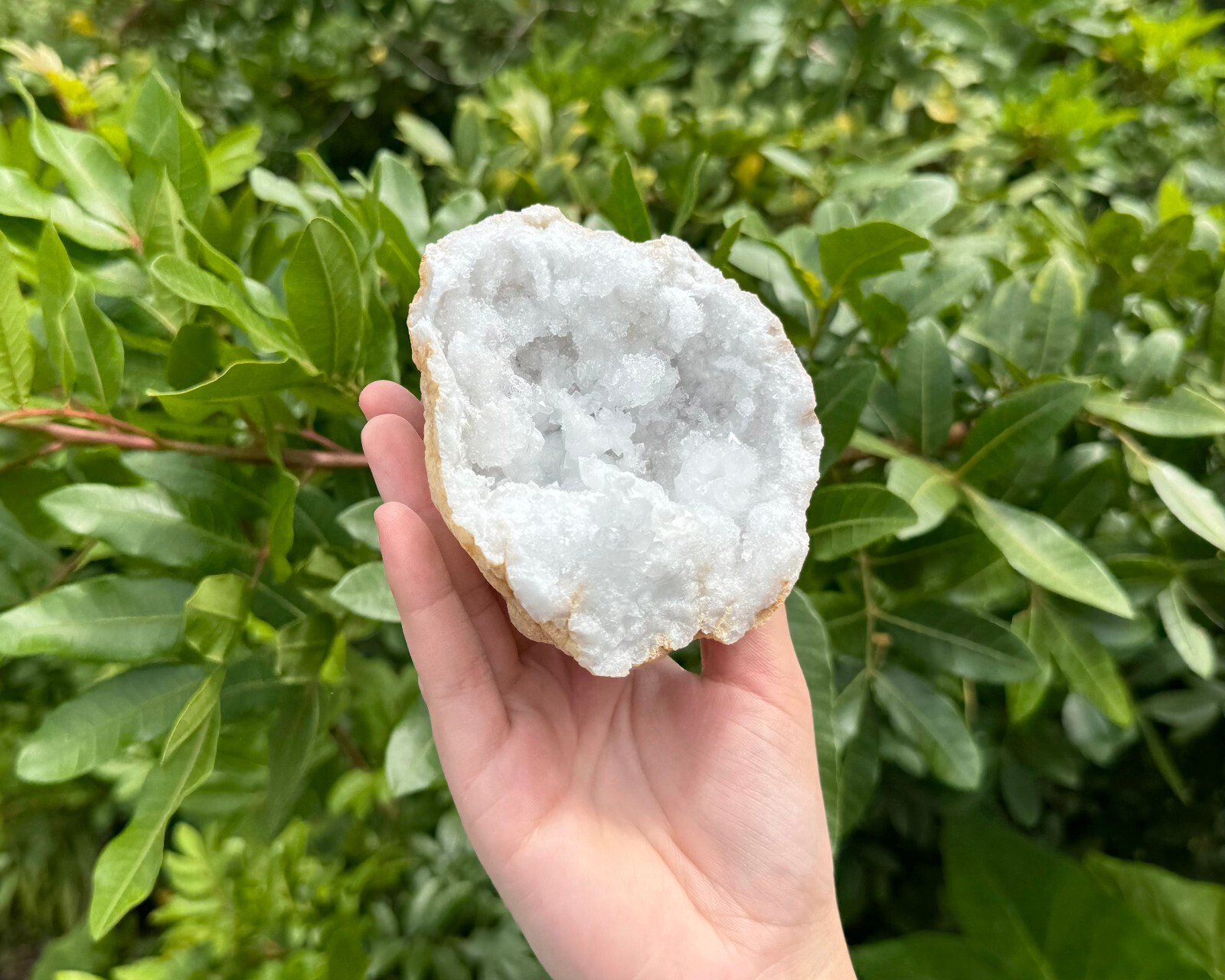 MASSIVE Sugar Quartz Geodes – Natural Crystal Geode Specimens From Morocco