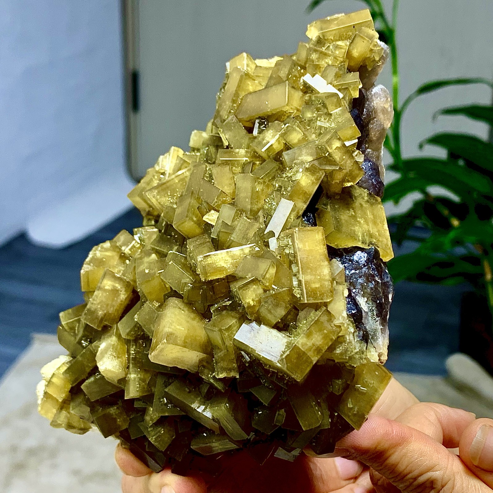2.36LB Shiny Golden Cuboid Barite Crystal Based on the Purple Spherical Fluorite