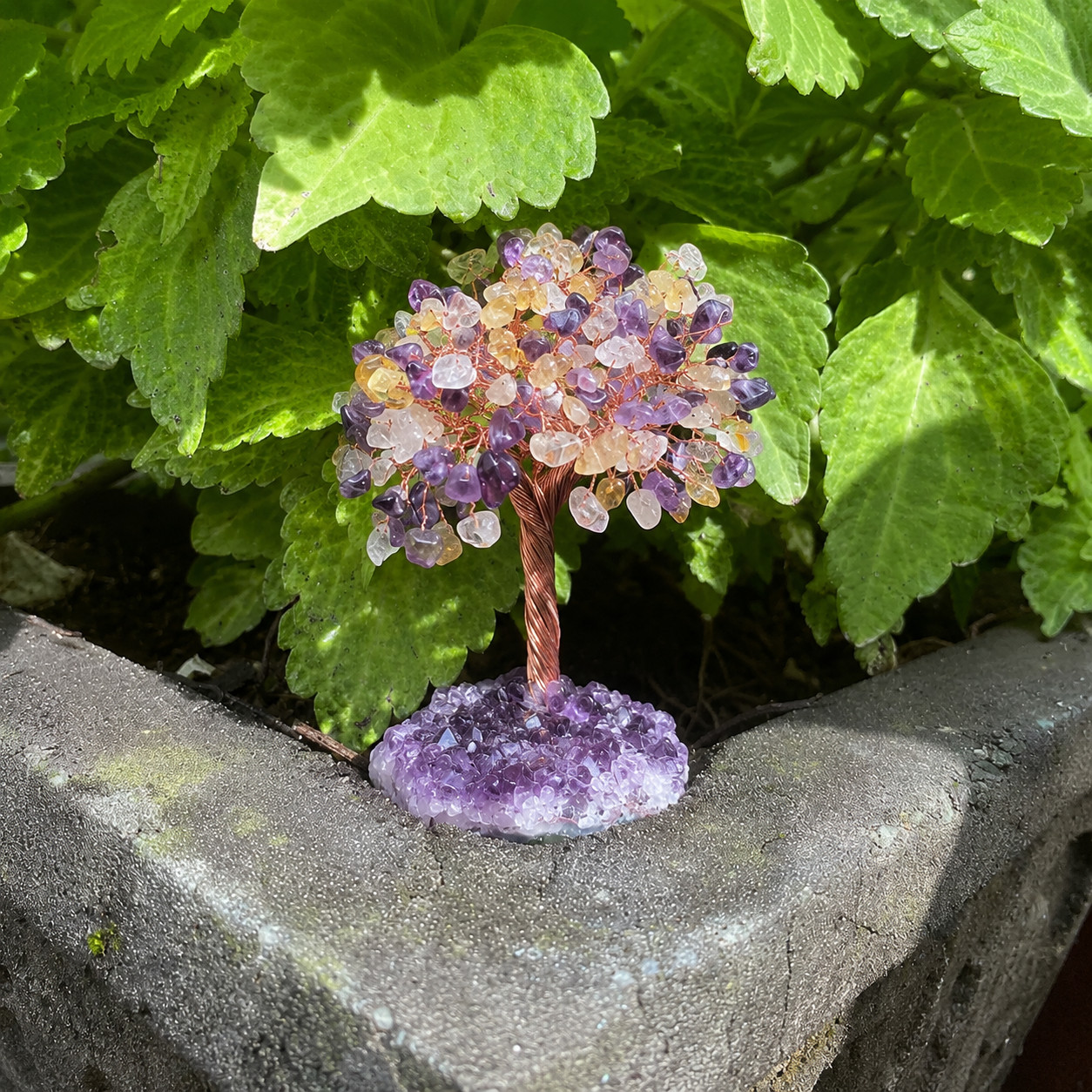 Natural Citrine Amethyst Crystal Tree Money Tree of Life Feng Shui Home Decor
