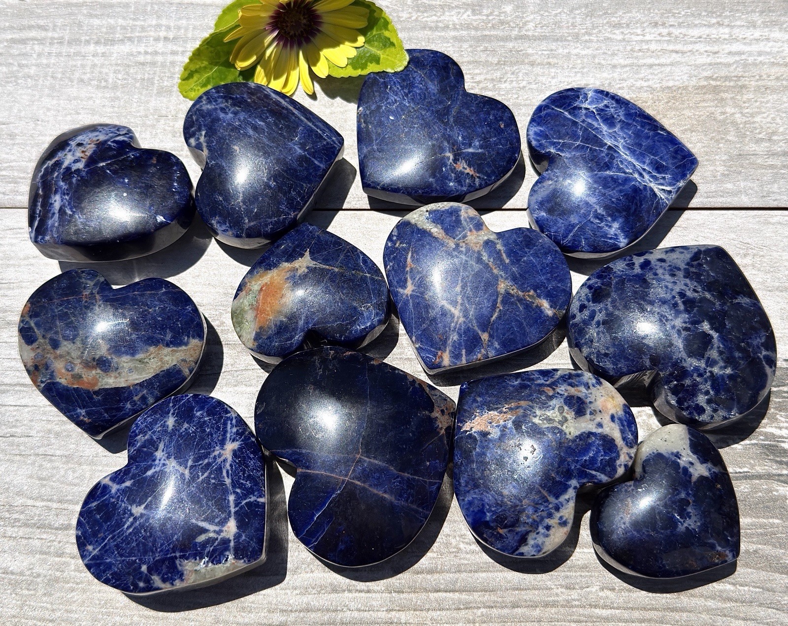 Wholesale Lot 2 Lbs Natural Sodalite Heart Crystal Healing