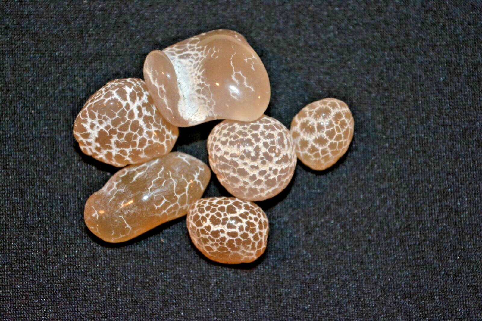 Assorted Agate stones: Snake Skin, Green Moss, Tortoise, Moss Agetes