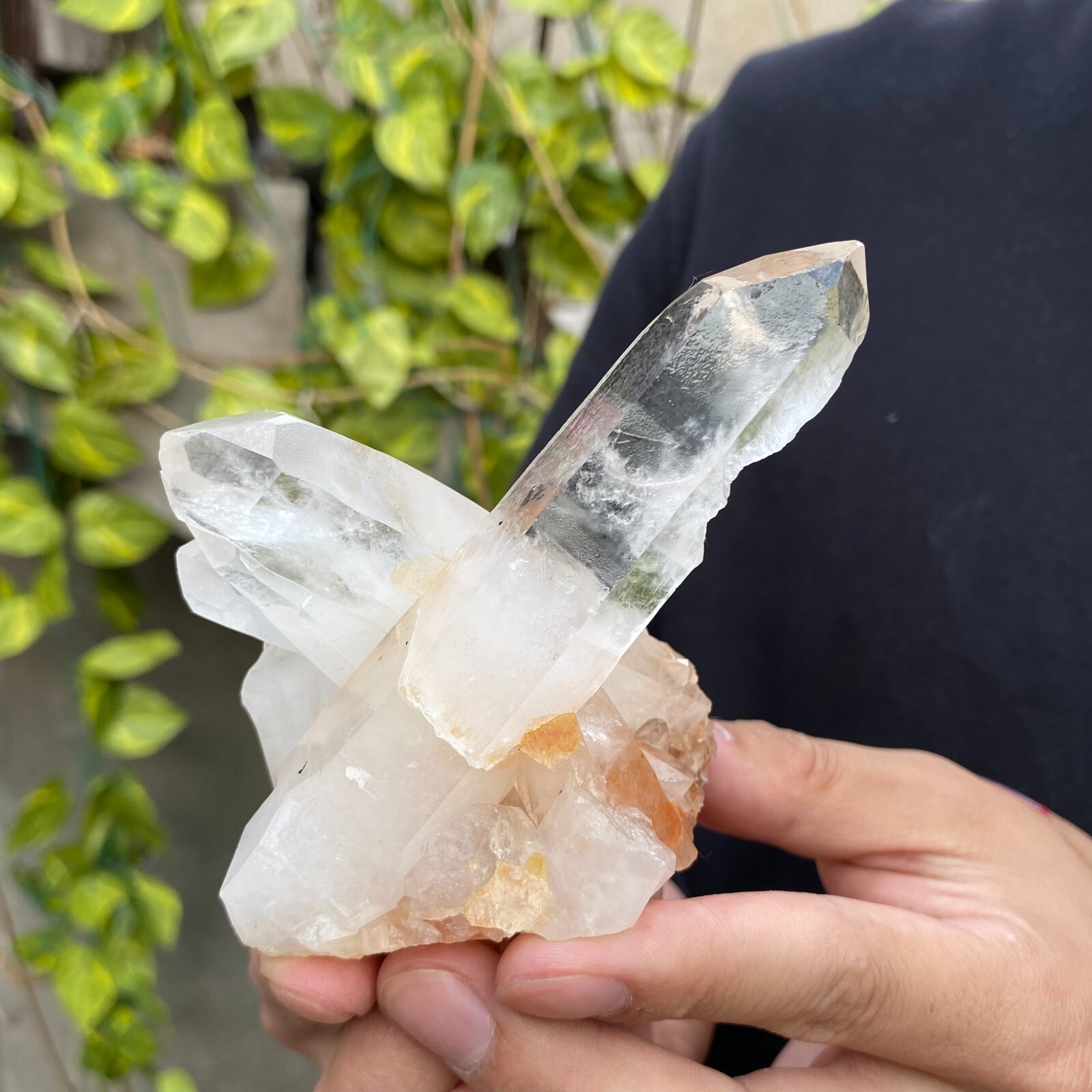 0.6lb Natural Clear White quart Crystal Cluster Raw Healing Specimen
