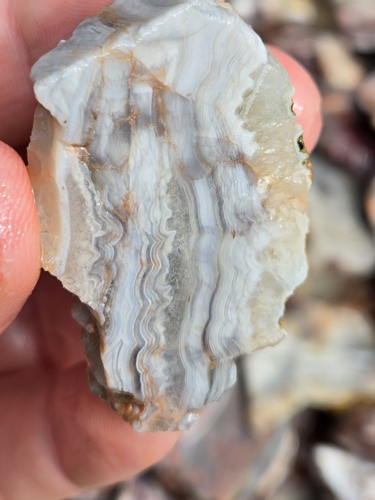 Crazy Lace Agate Rough Mexico – White Red Banding – Cut For Patterns 1 Pound