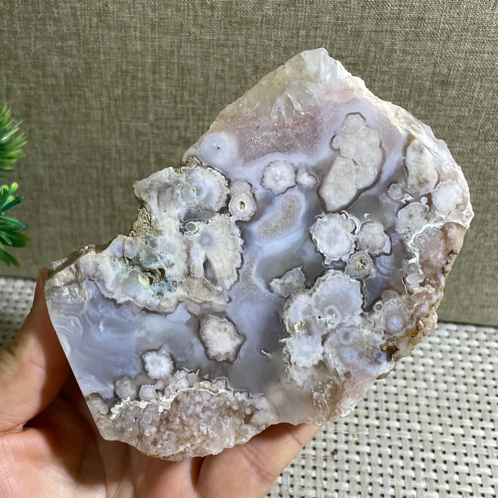 Sakura Agate Blossom Facet Rough Specimen Madagascar 310g g18