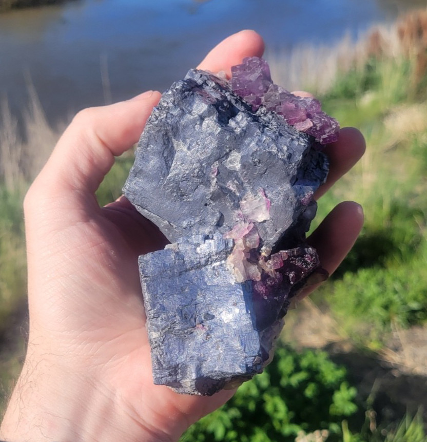 Purple Illinois Fluorite with Giant Galena Cubes – Natural Display Specimen
