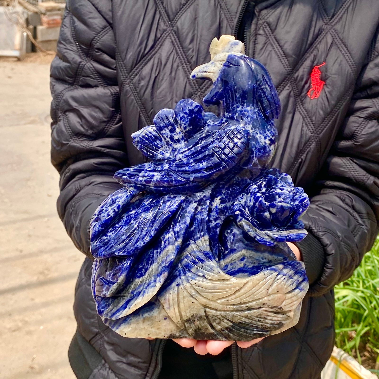 6.1LB Natural Blue Texture Crystal Carving Phoenix Rose Spiritual Energy