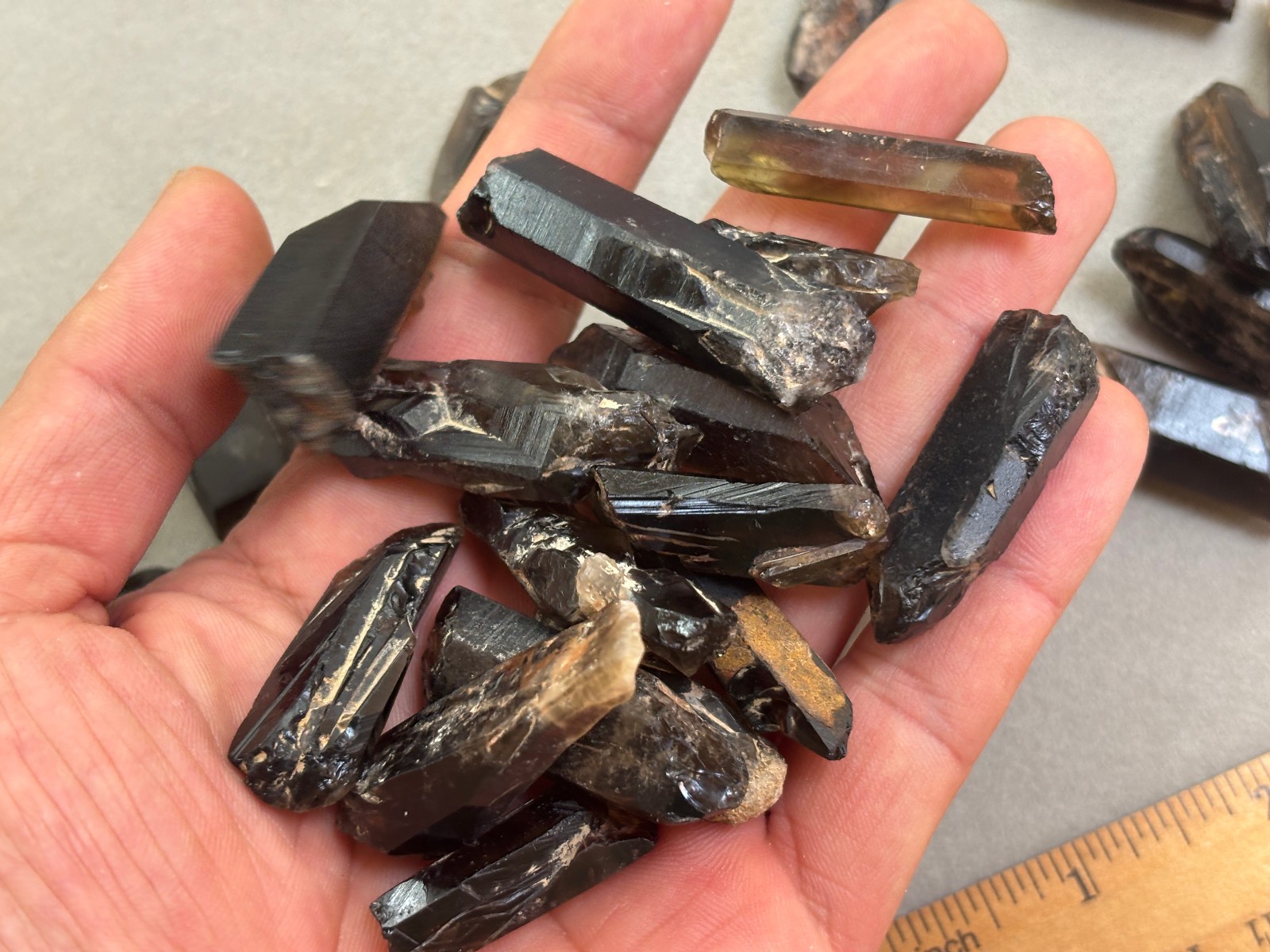 1/2LB Dark Smokey Morion Quartz Rough Black Smoky Crystal Terminated Points