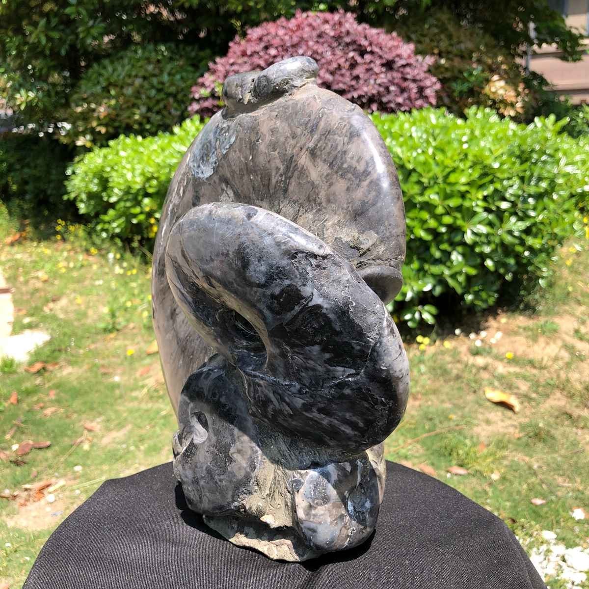 15.24LB Natural Beautiful Ammonite Fossil Conch Crystal Specimen Healing 5100
