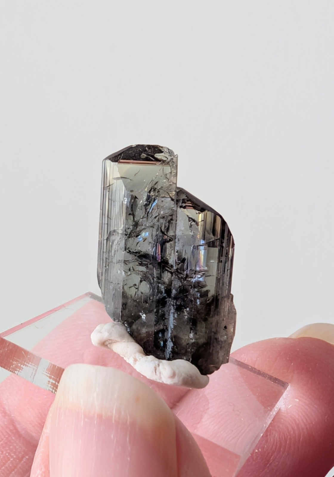 12.4 ct Natural Tanzanite Crystal – Unheated – Merelani Hills
