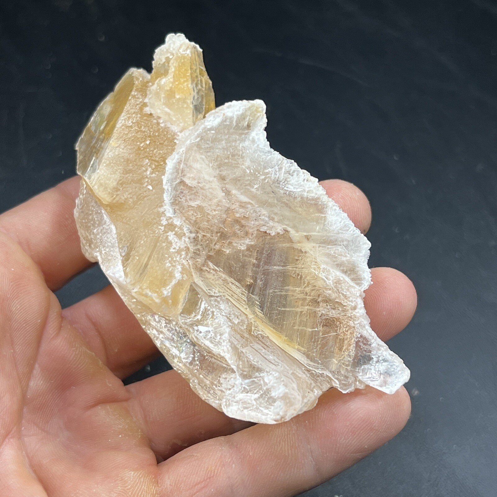 Golden Phantom Selenite Cluster aka: Gypsum | Utah