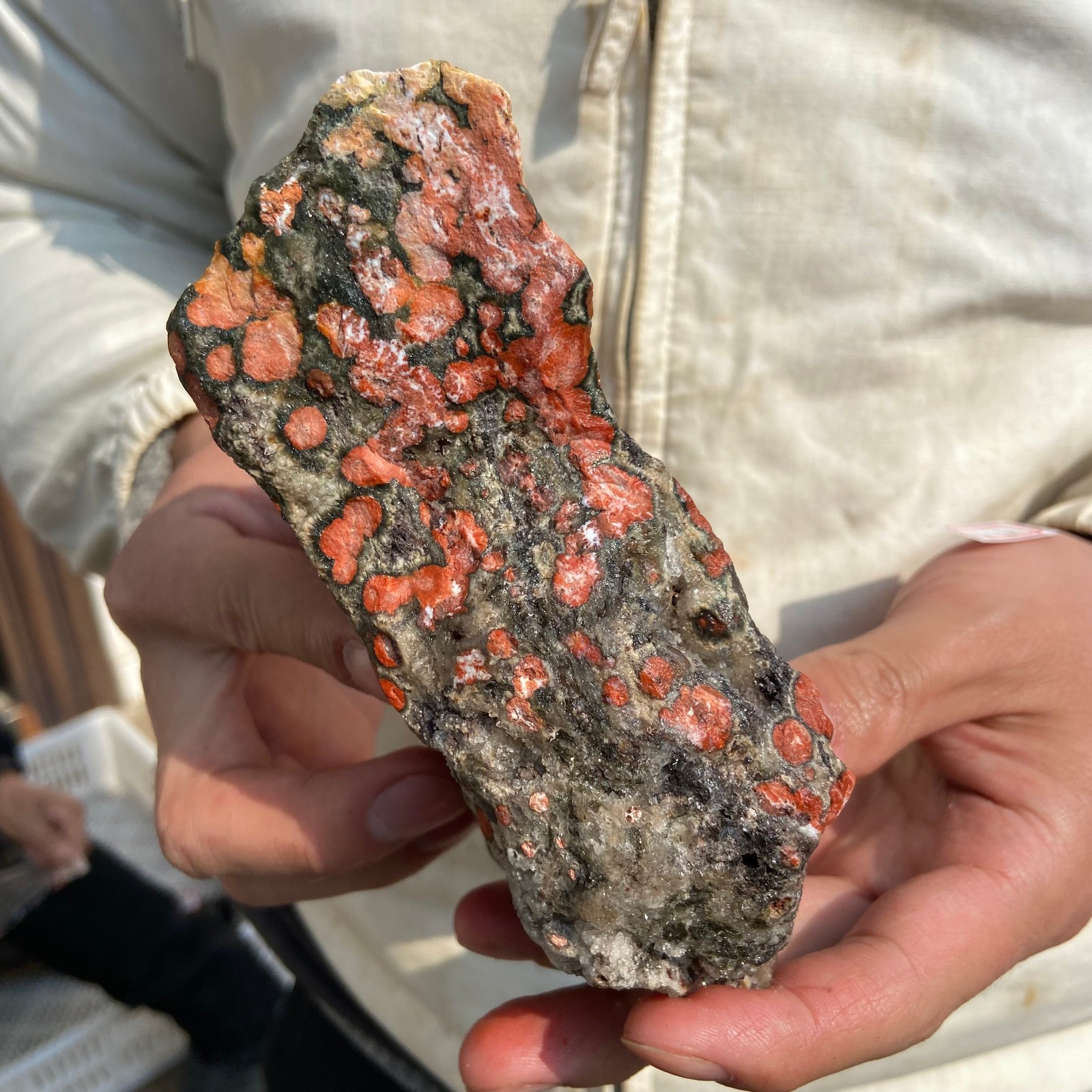 2.2lb Natural colourful ocean jasper raw stone crystal rough mineral specimen