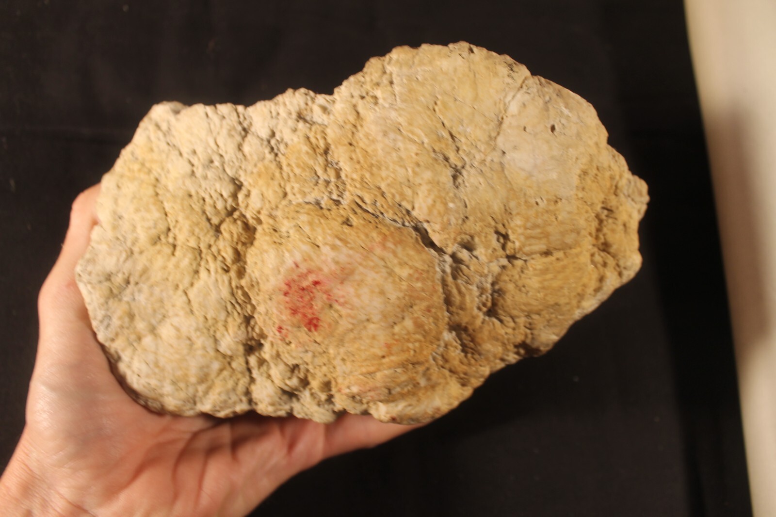 Quartz Crystal Geode Cluster Morocco 6 Pounds 8 Inch