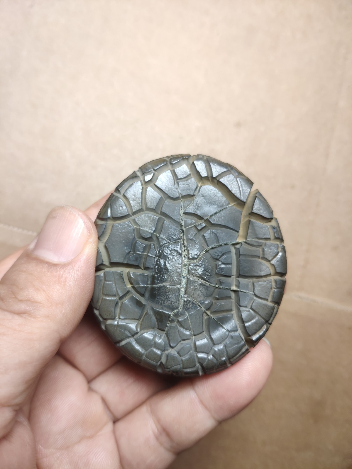 136g beautiful Natural tortoise back pattern stone Landscape stone