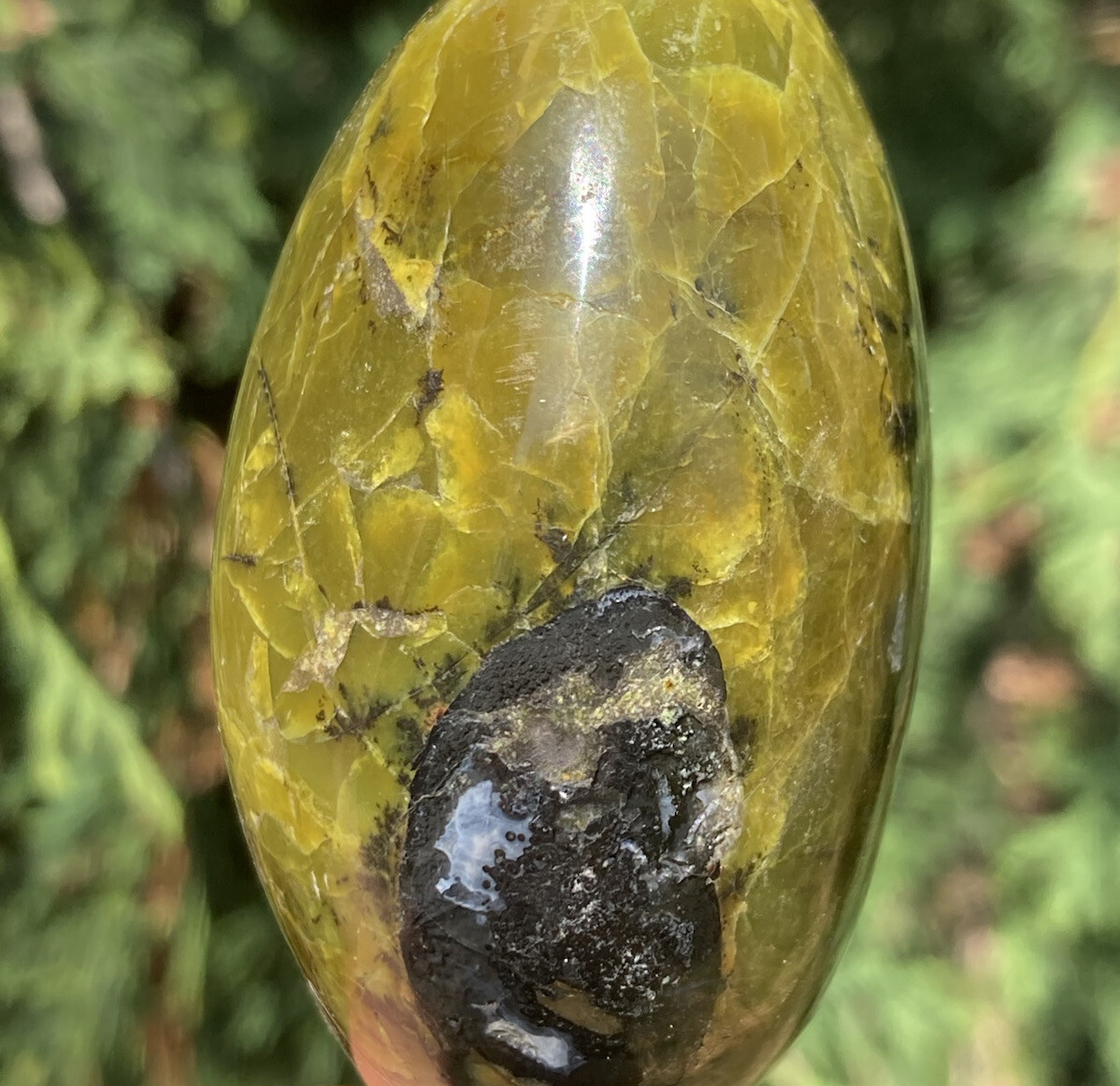 Handmade Polished GREEN OPAL Healing Crystal Palm Stone Pebble MADAGASCAR 2.4″