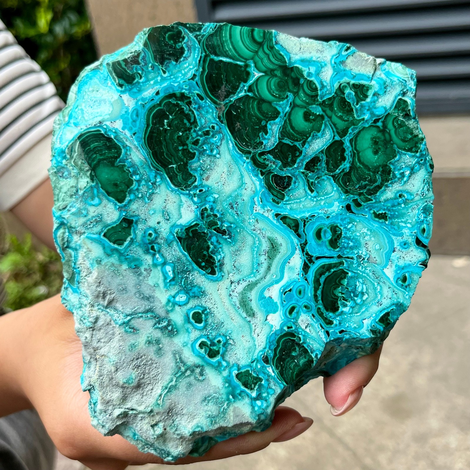 Natural Blue Green Chrysocolla Slice Polished Crystal Healing Stone 554 g