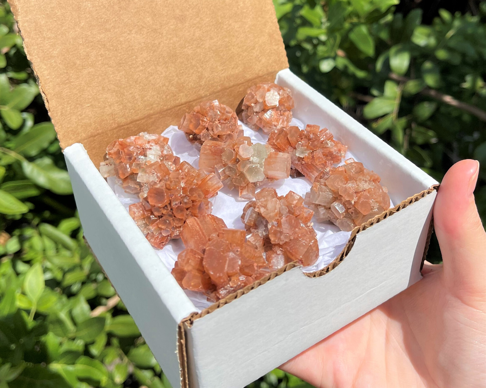 Mini Aragonite Cluster Box: 6 – 8 Pieces (Natural Aragonite Star Cluster)