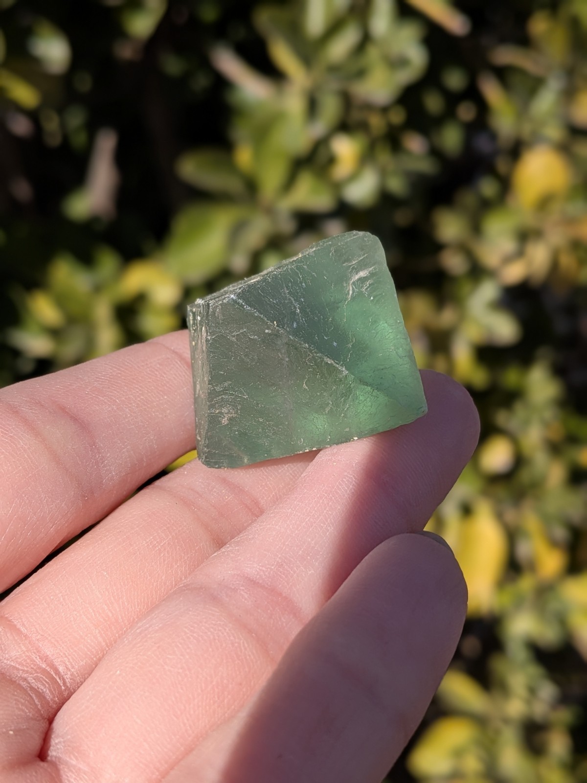 Raw Natural Green Fluorite Octahedron Crystal