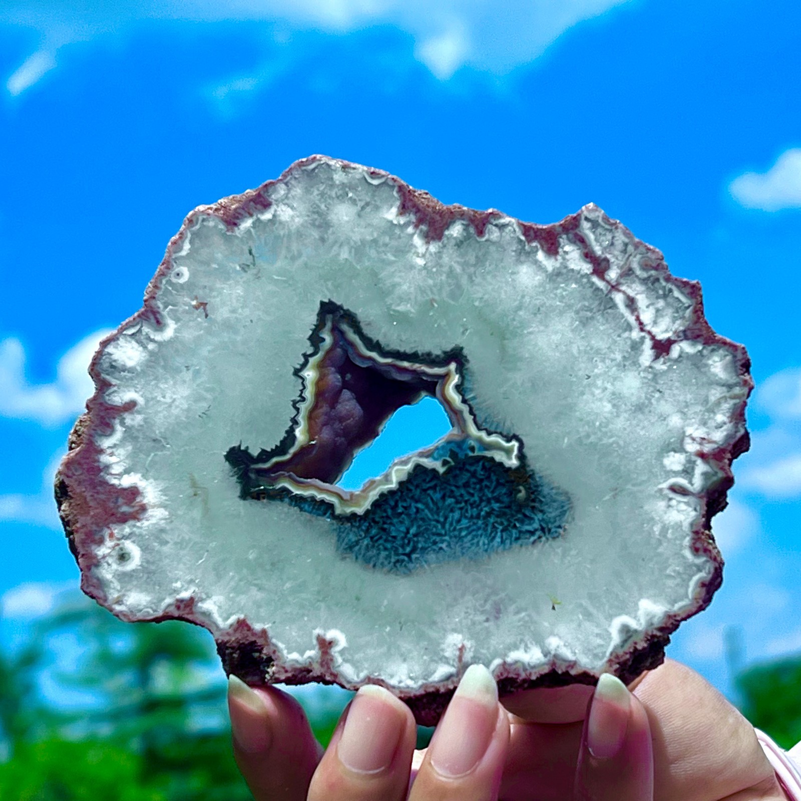 212G Natural Colorful Lace Agate Geode Slice Extra Large Gem From Argentina
