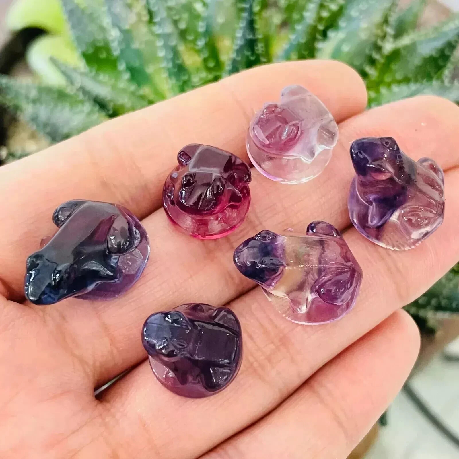 5pc Natural fluorite carved mini frog skull gift quartz crystal reiki healing