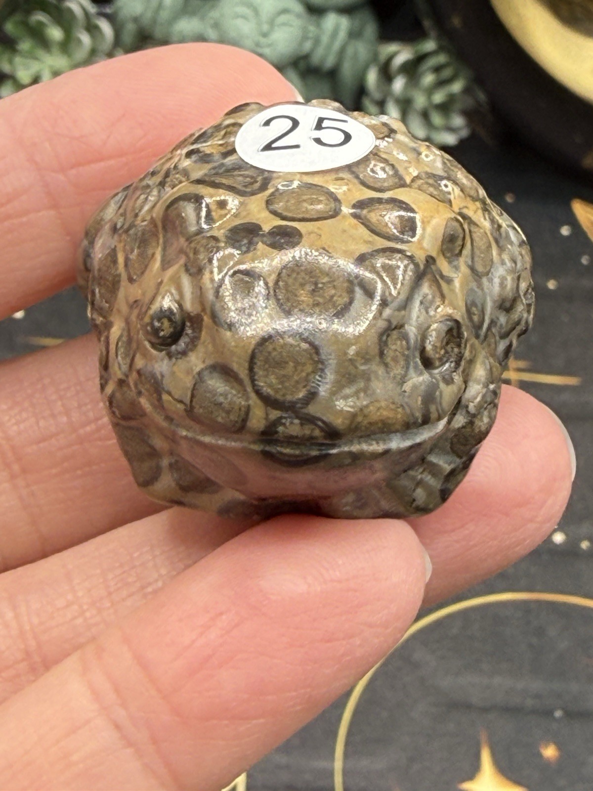 Natural Leopard Skin Japser Baby Toads O.M.G cute & Life like! Free shipping