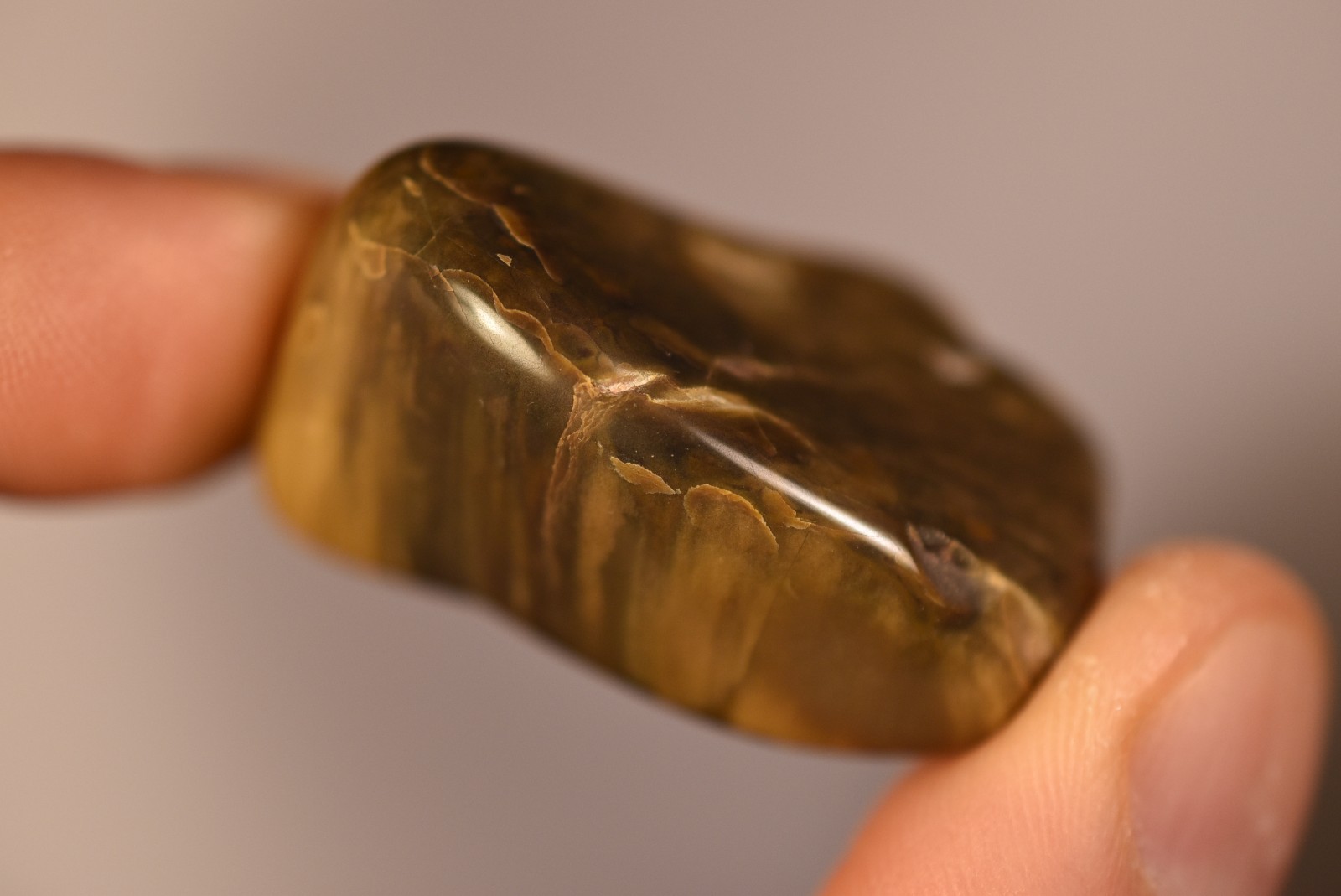 2 *AUSTRALIAN PETRIFIED WOOD* Tumbled Stones 4cm 58.2g Natural Stone QLD