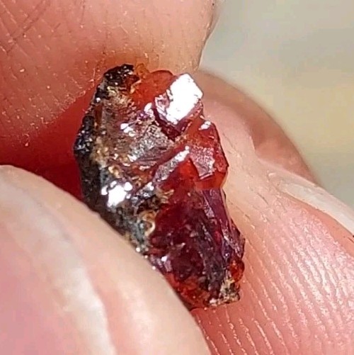 ULTRA RARE GEM RHODOCHROSITE ON MATRIX N’Chwaning I Mine, KMF, South Africa