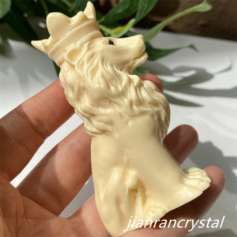 3” Natural Plant Fruit Lion Hand Carved Decoration Skull Gift Reiki Healing 1pc