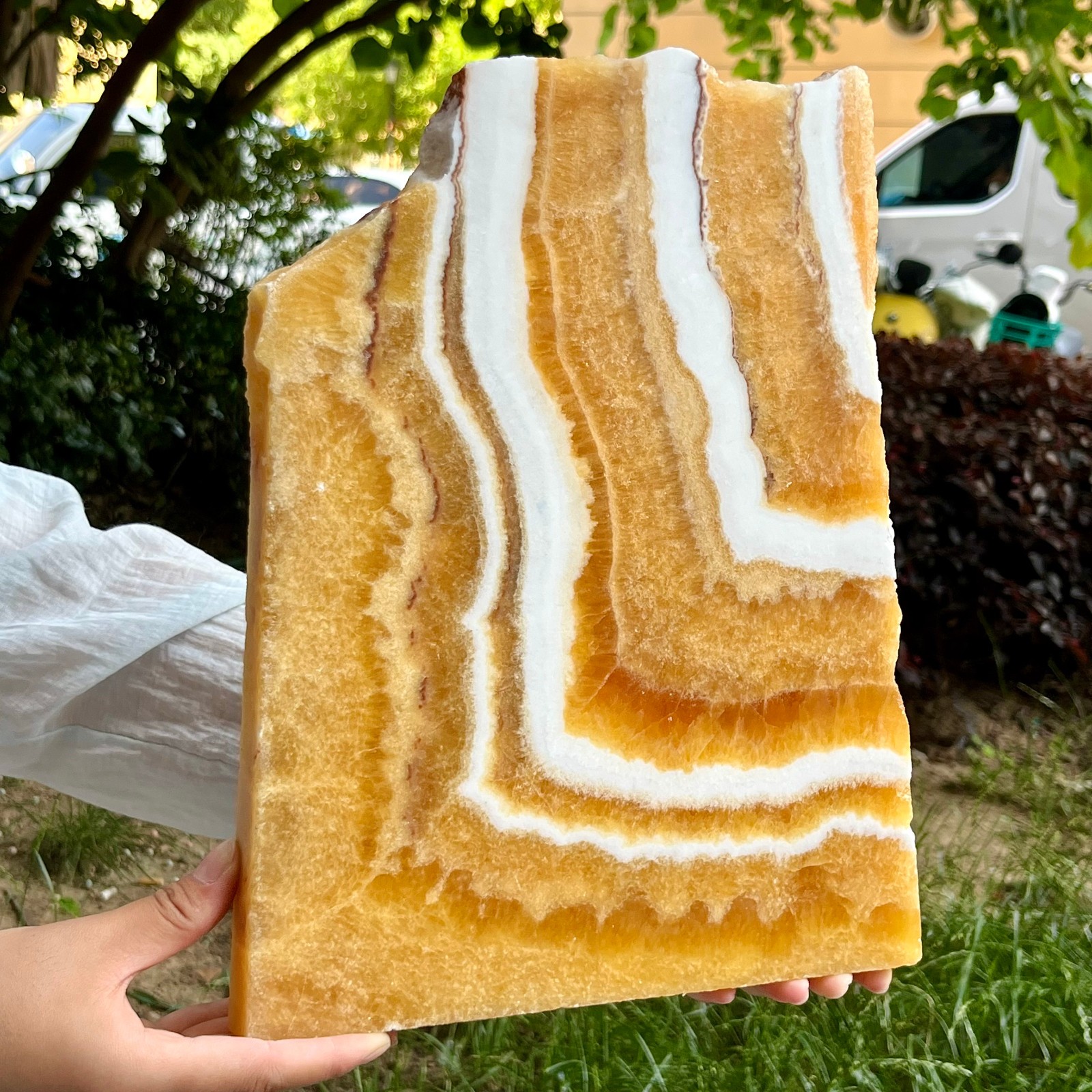 6.2 lb Authentic Yellow Calcite Polished Both Sides Crystal Slice Display