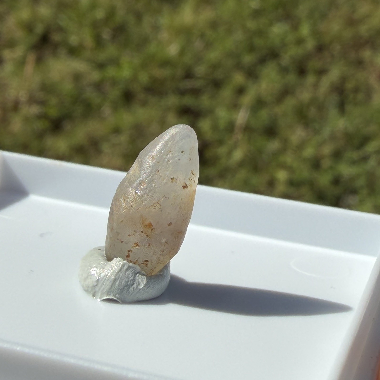 Natural Sapphire from Sri Lanka 7 carats (1.4 grams) approx
