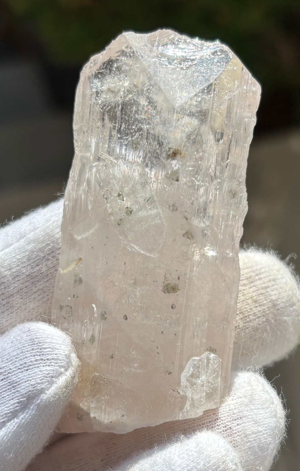 USA SALE *SEE VIDEO* 50g 2.5″ DANBURITE CRYSTAL SPECIMEN CLEAR CLARITY ETCHED