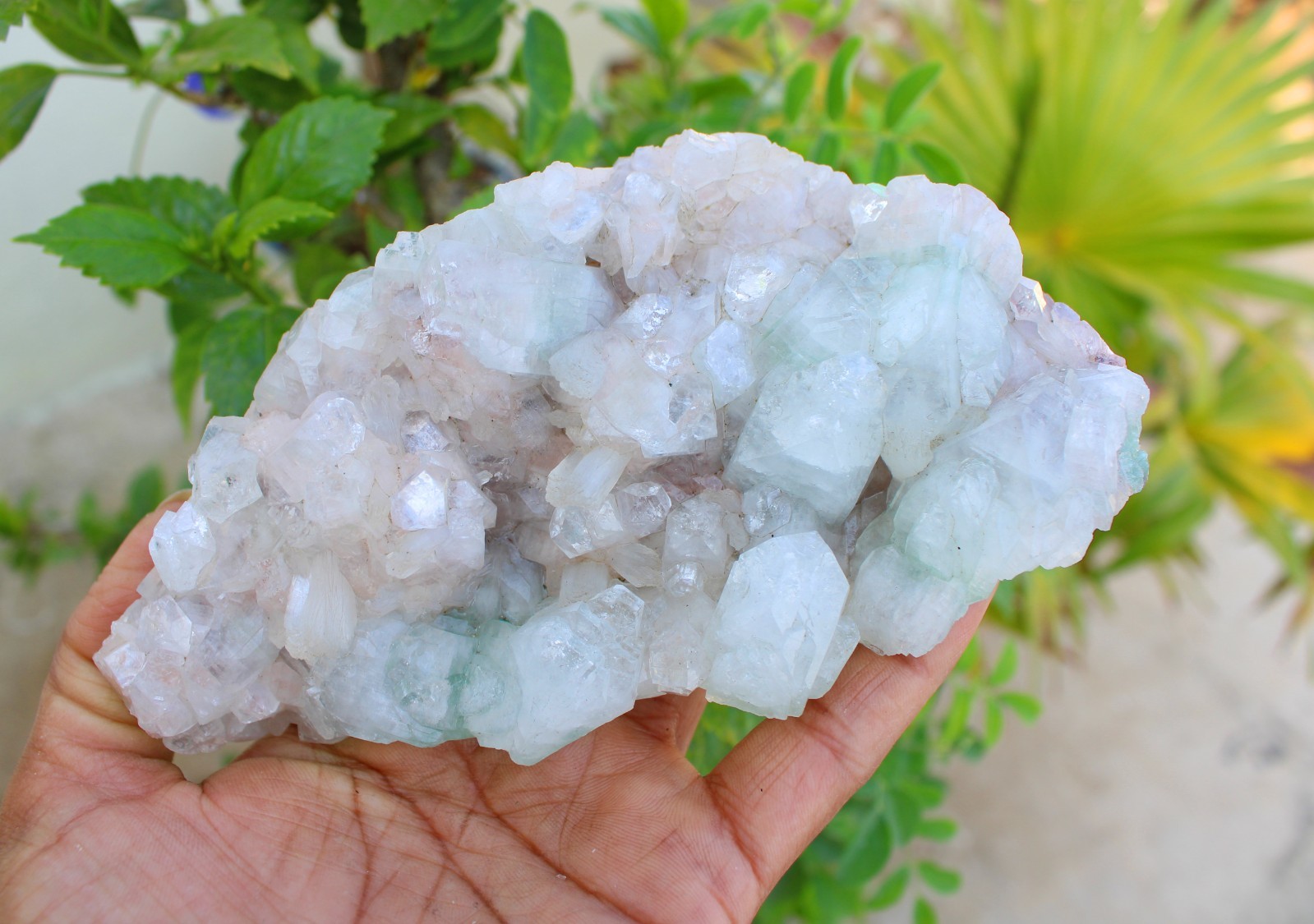 GREEN APOPHYLLITE CRYSTALS ON MATRIX MINERALS SPECIMEN #A43