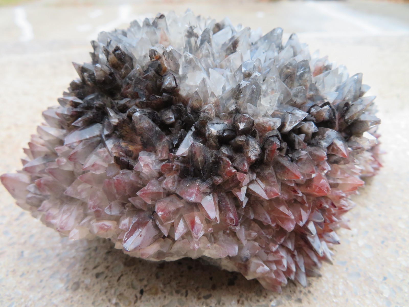 Very Rare Superb Excellent Calico Dog Tooth Calcite From San Antonio mine,Mexico