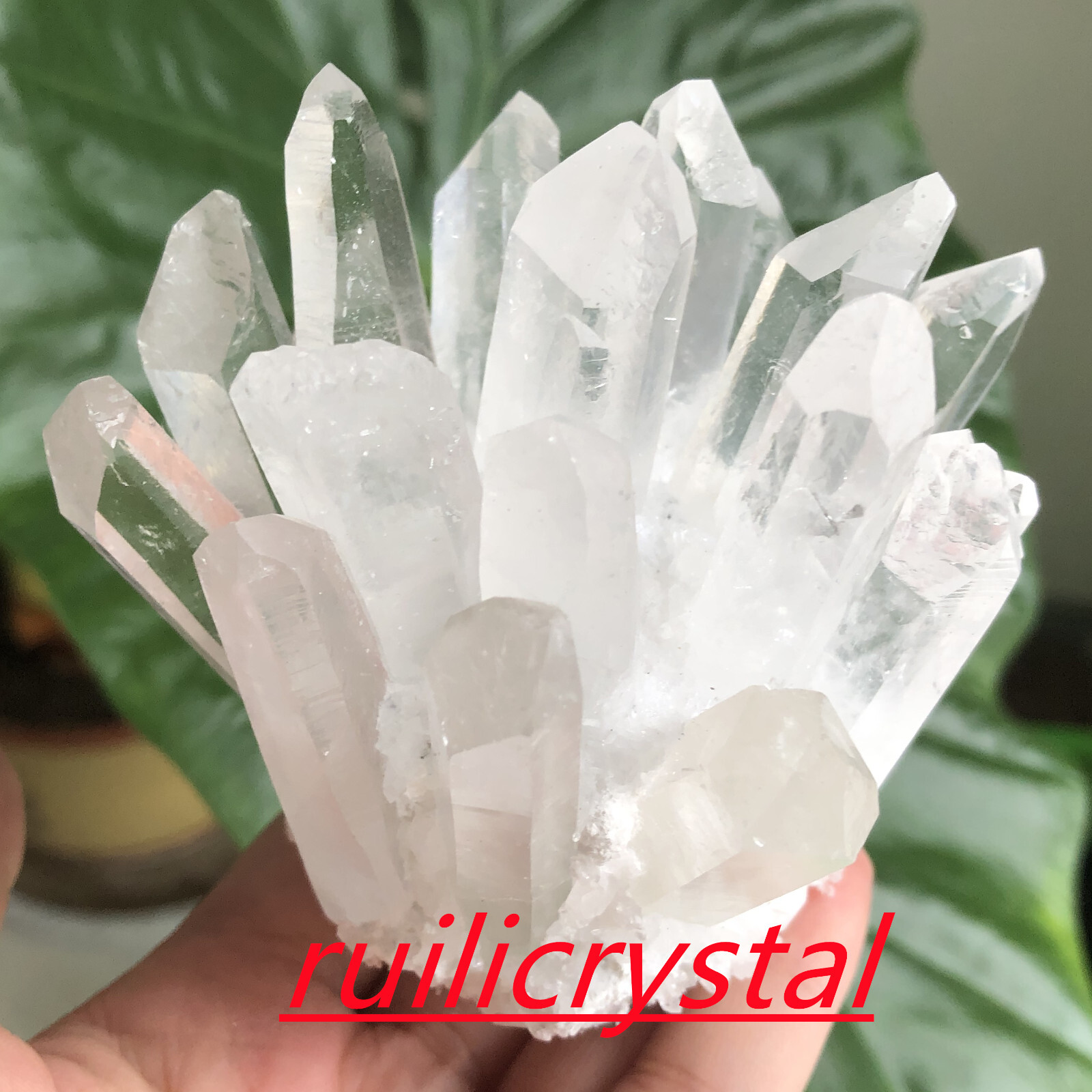300g+natural clear quartz cluster white crystal point healing decor random 1pc