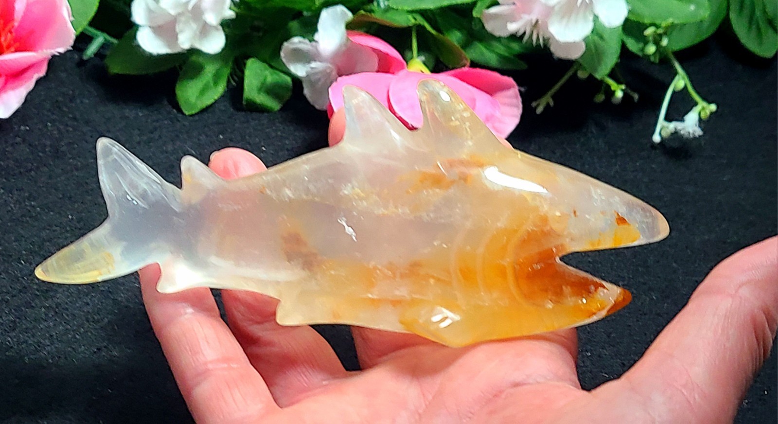 X Large 5.6″ Unique 252g Golden Healer Quartz Shark Sea Crystal Carving