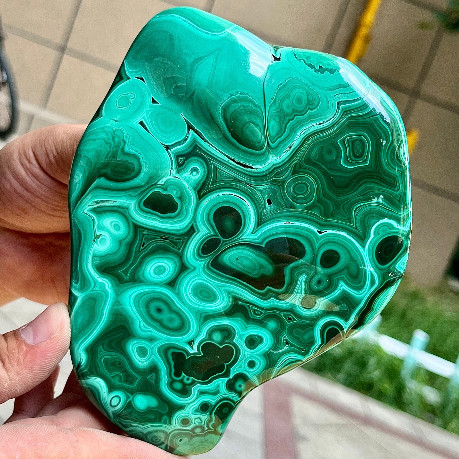 2.2 lb Malachite Quartz Freeform One Side Polished Natural Crystal Specimen