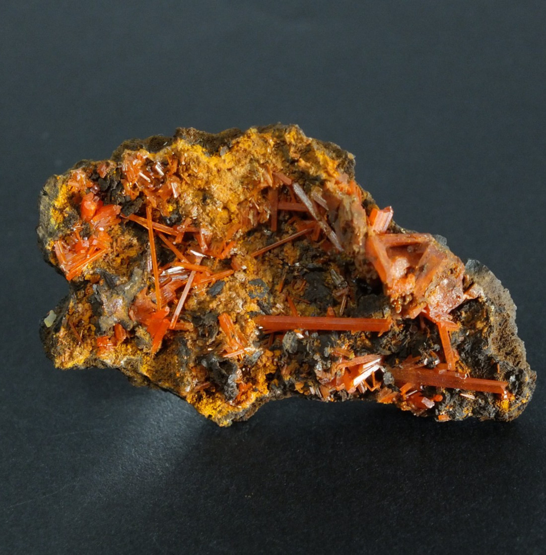 Crocoite Crystals. Adelaide Mine Dundas. Tasmania Australia (EA12007)