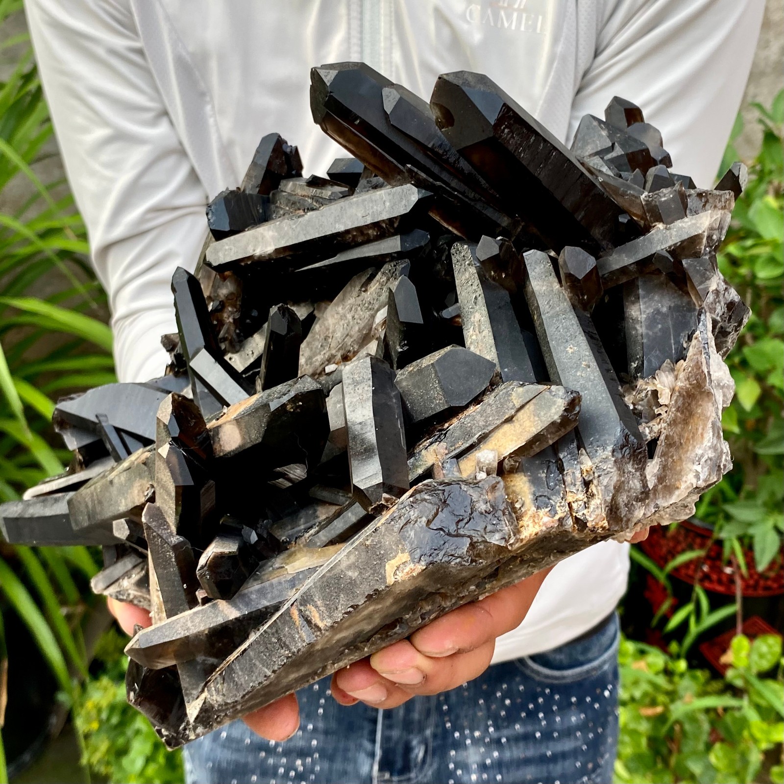12.78LB Large Natural Smoky Black Quartz Cluster Crystal raw Specimen Healing
