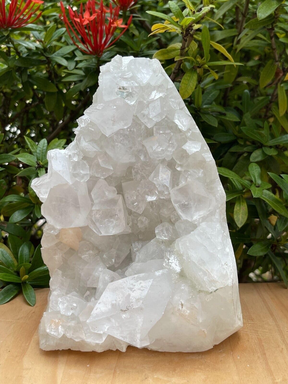 GAF TREASURES Apophyllite Cluster Geode Free Standing | Natural 4-5 lb, White