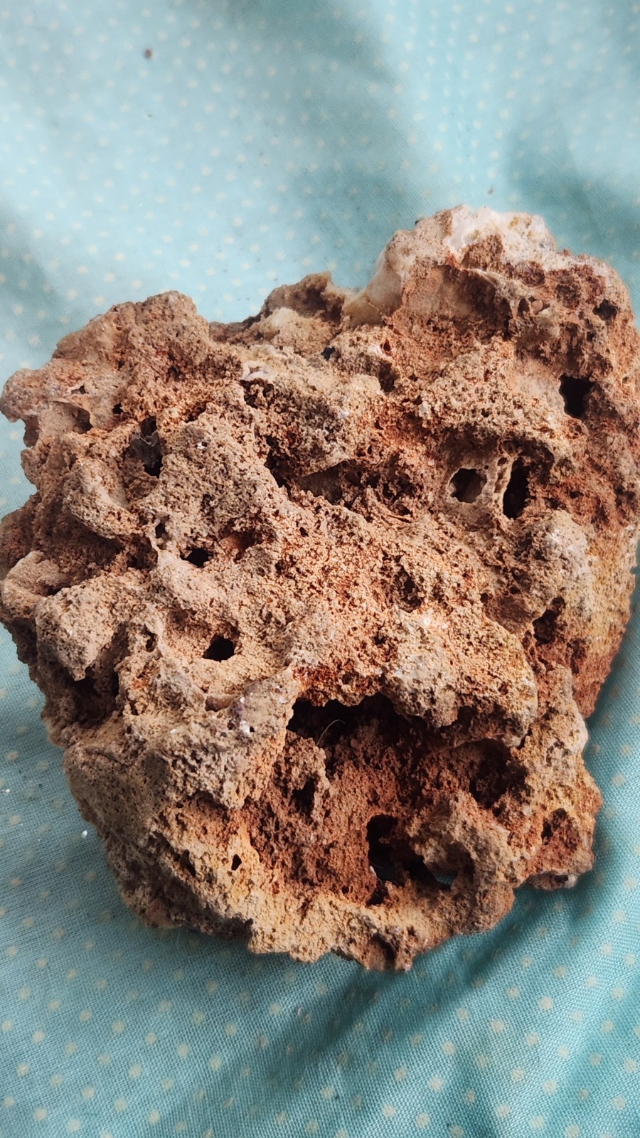 Druzy Quartz Rock Natural Planter Moss Or Succulent Bonne Terre Missouri