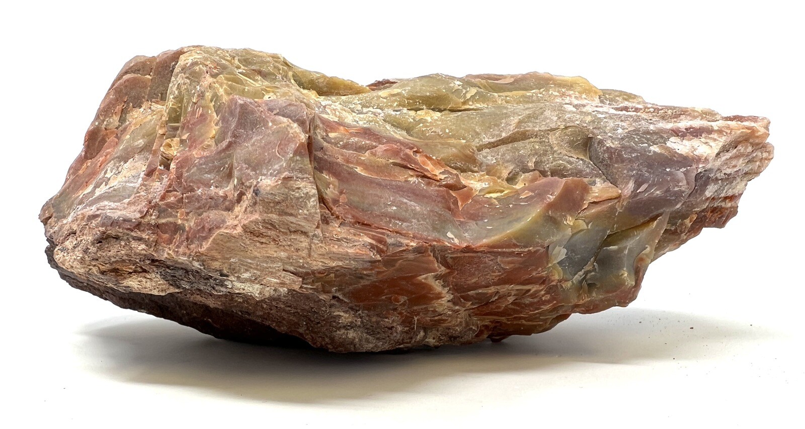 Loose Natural Stone – United States: Raw Petrified Wood RARE Agatized 4lb 4oz