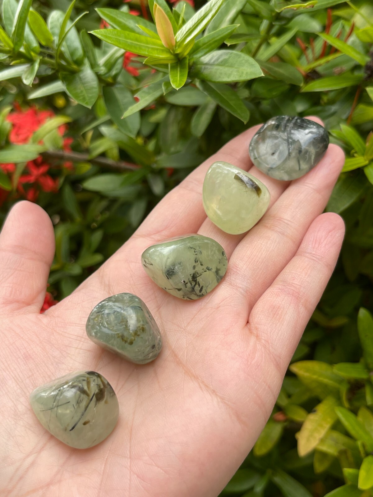 Prehnite With Rutile Tumbled Stones, 0.8-1″ Tumbled Prehnite Stones, Bulk lots