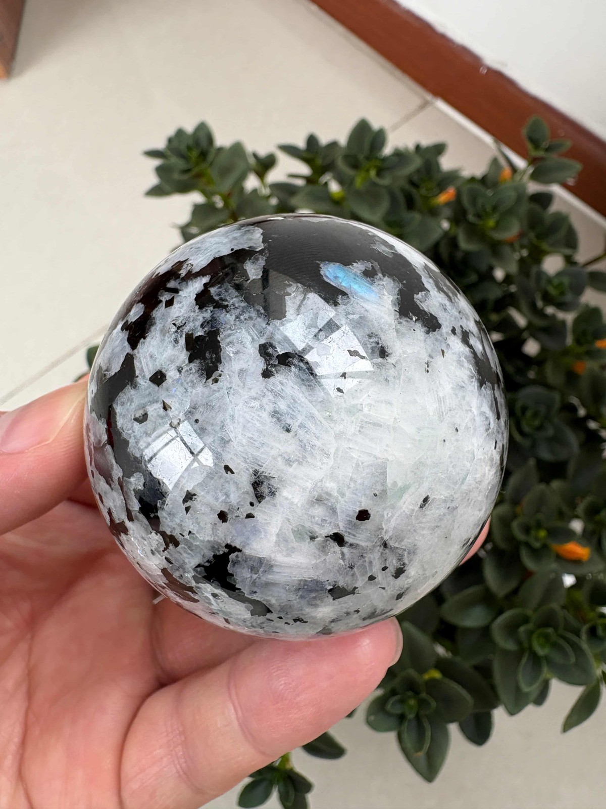 Natural Black And White Moonstone Sphere 2.55″ 0.677 lb Crystal Ball Healing