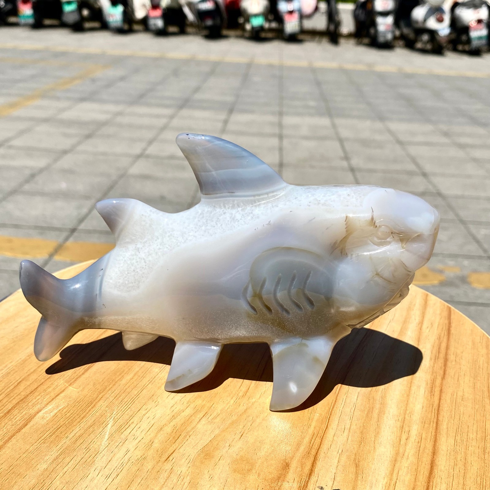1.65LB Natural Agate Hand Carved Shark Figurine, Ocean Power Crystal Statue