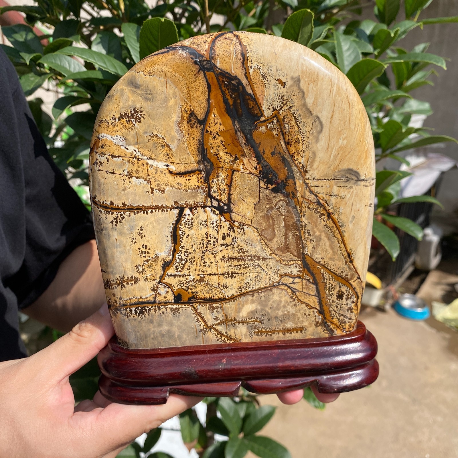 3lb Natural Dendritic Limestone Picture Stone Chinese painting stone Specimen
