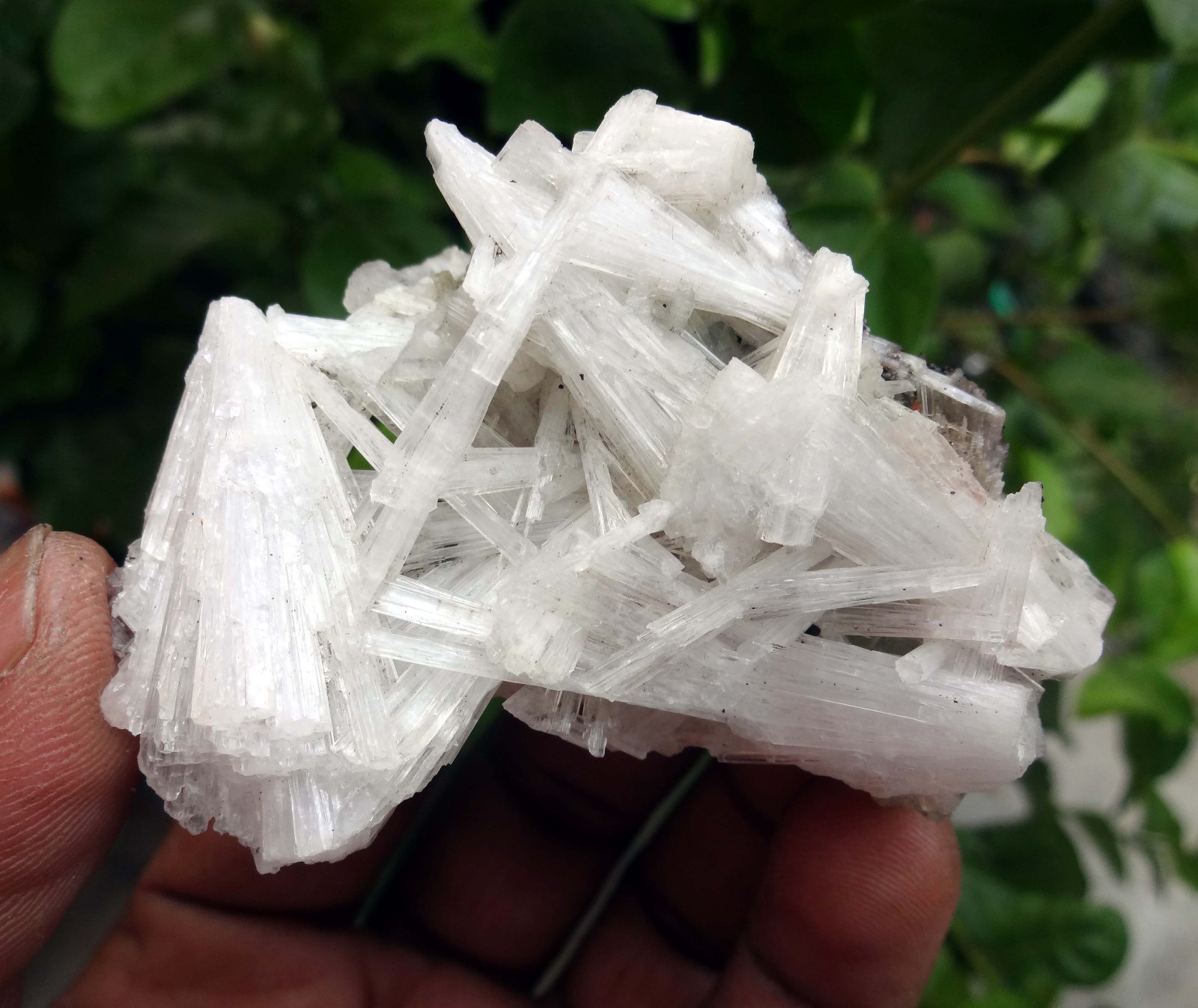 scolecite spray formation minerals specimen j-6