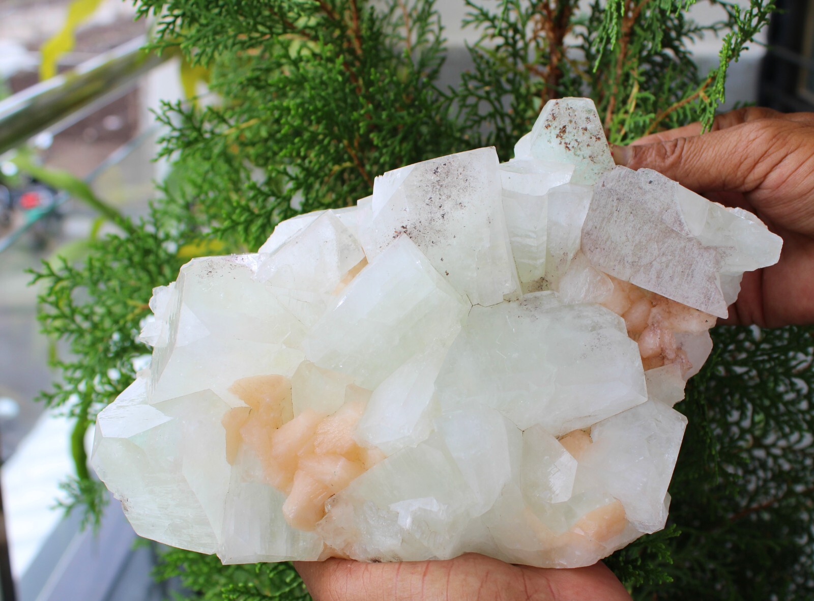 Green Apophyllite Crystals With Stilbite On Matrix Minerals Specimen