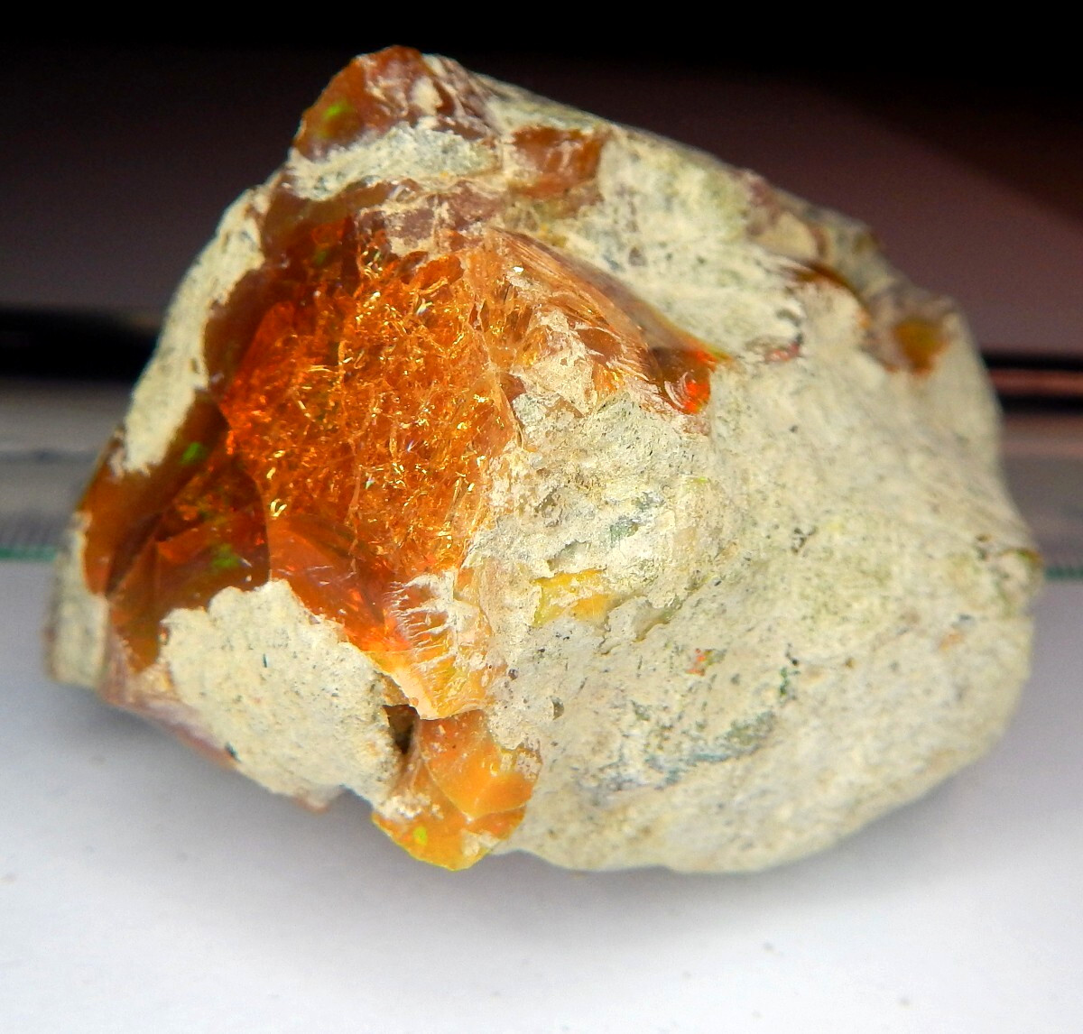 405ct Welo Precious Opal Pleochroic Flash Natural Mined Unheated Rough Nodule