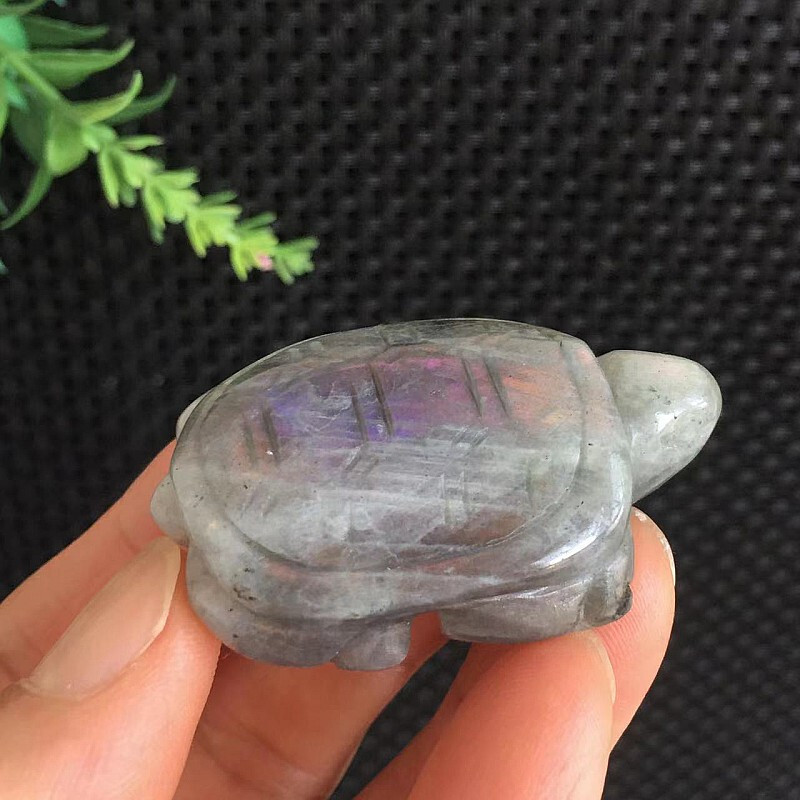 28g Purple Flash Labradorite Stone Tortoise Carving Small Size Quartz Crystal