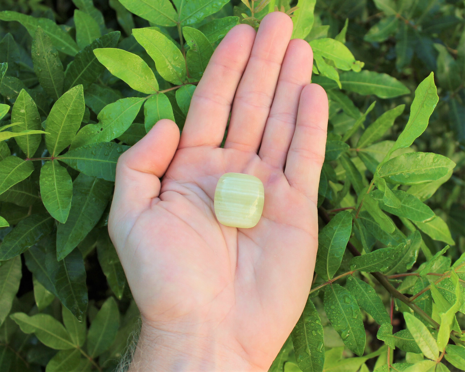 Green Onyx Tumbled Stones Bulk Lots, ‘A’ Grade Tumbled Green Onyx Crystals