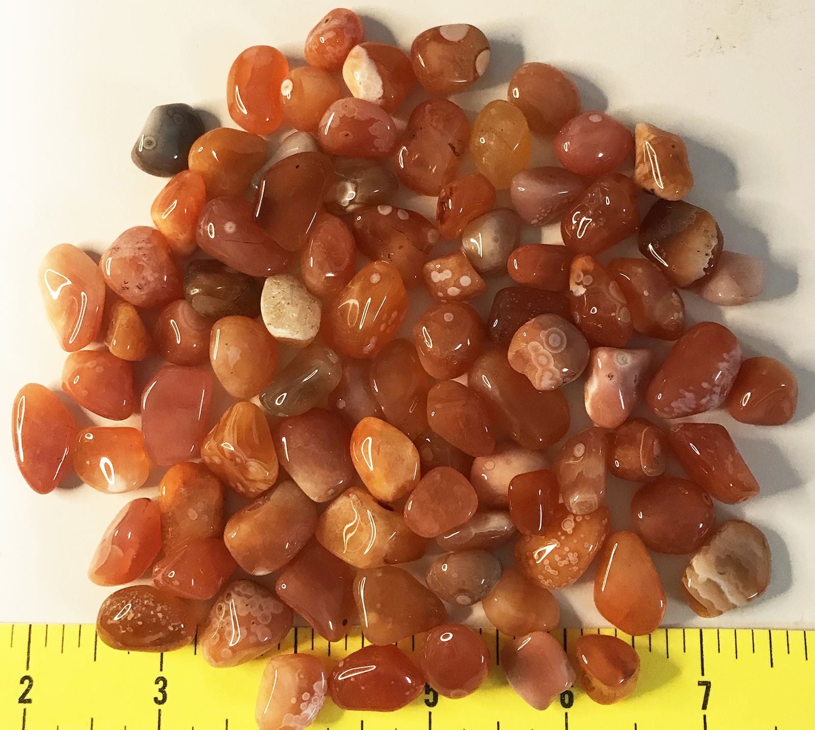 AGATE CARNELIAN EYE size Small polished – 1/2 lb